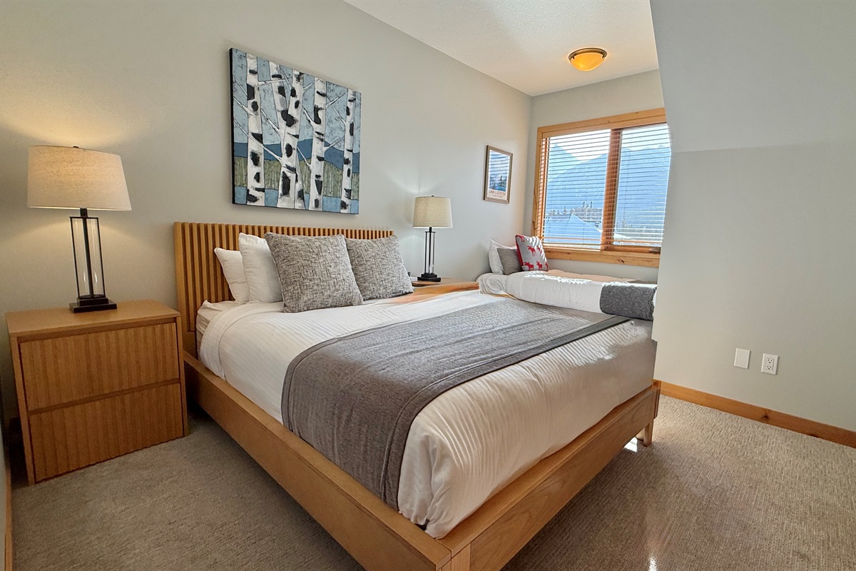 Second Bedroom - Queen Bed and Twin Bed