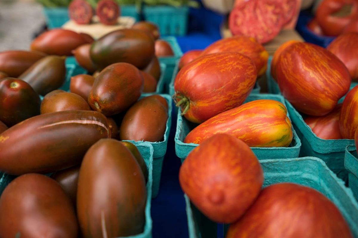 Farmer's Market bounty
