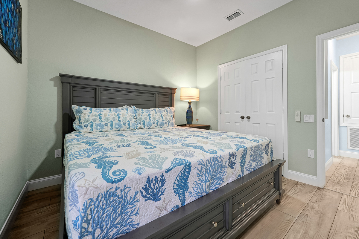 Downstairs King bedroom with closet