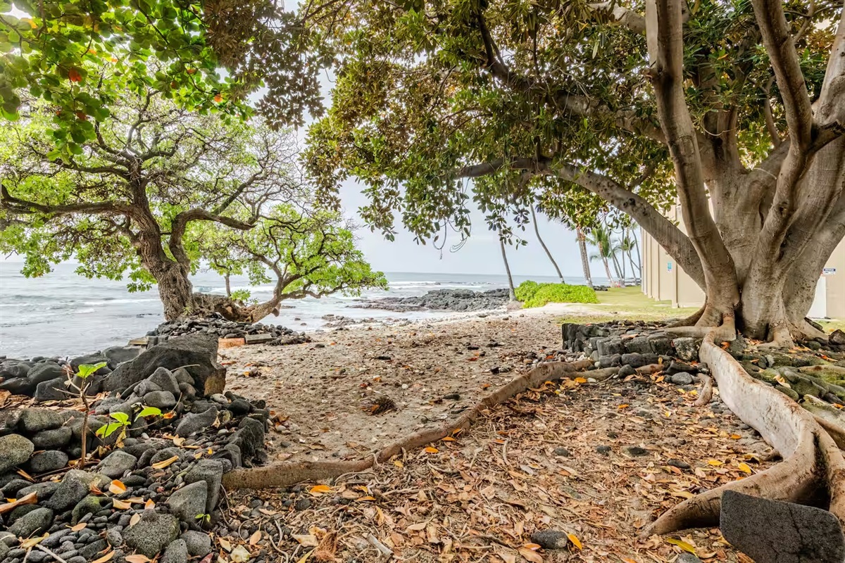 Located beachfront Banyan Tree Surf Beach