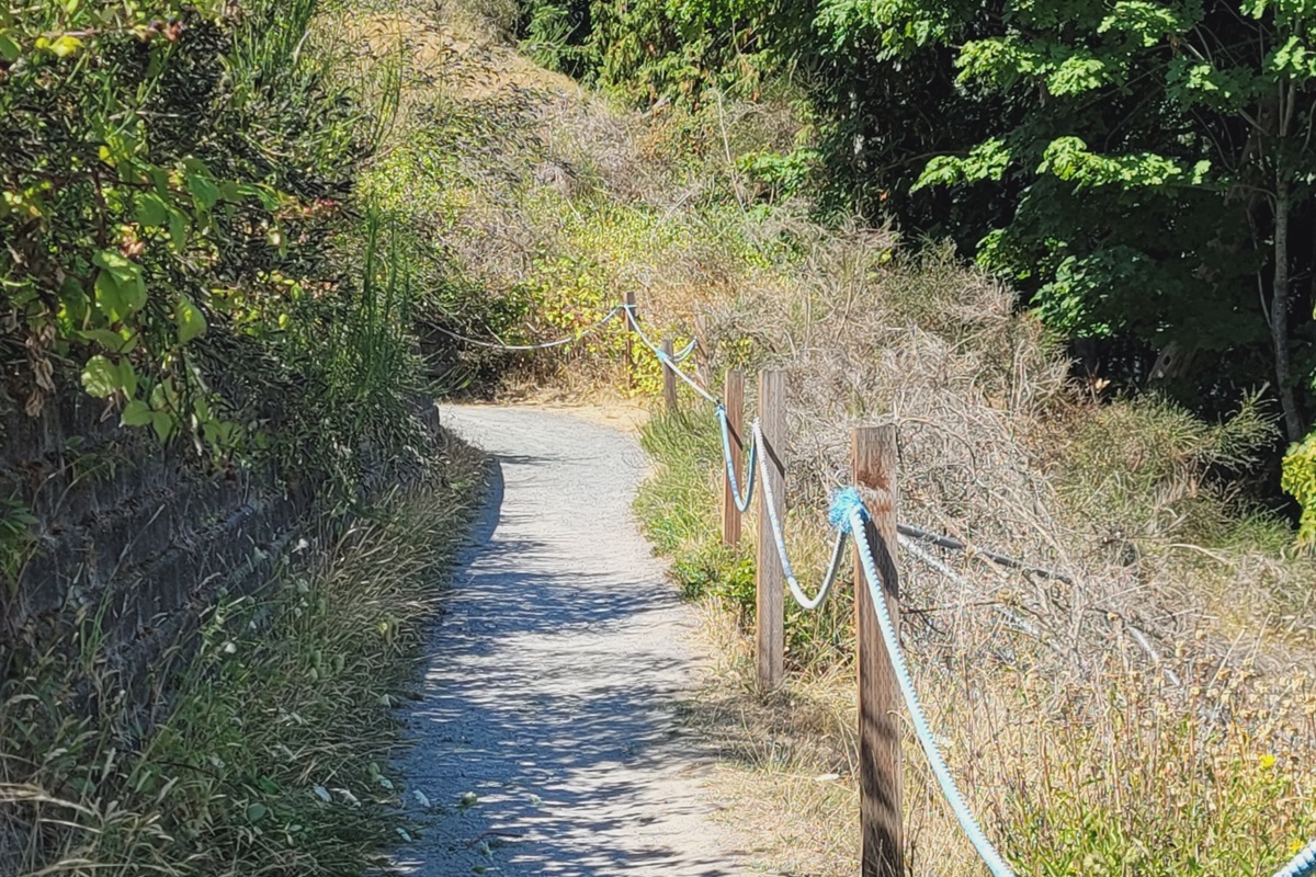 Resort pathway to Beach.