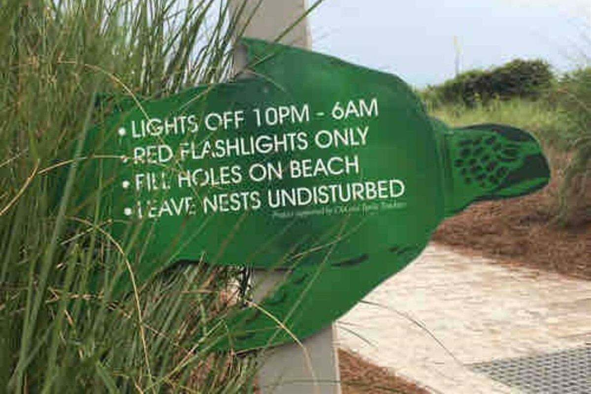 Important beach rules for sea turtle preservation, we offer red flashlights and filters for your cell phone 