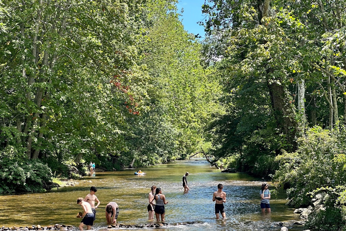 The Watauga River is what summer dreams are made of. Paddleboarding, fishing, kayaking, tubing & whitewater rafting nearby. Free spots to play and/or outfitter guides as close as 2 miles away!