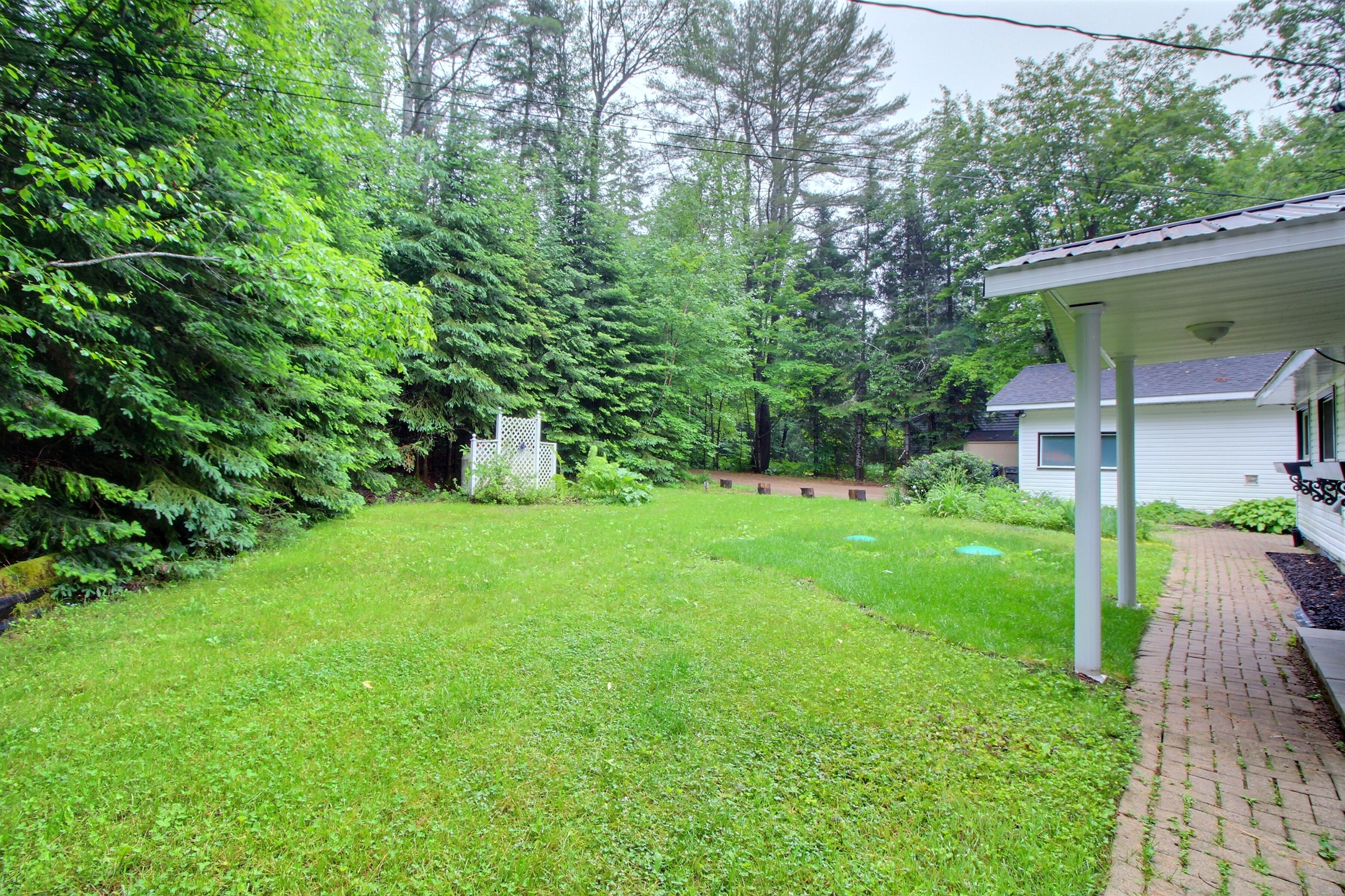Front Yard