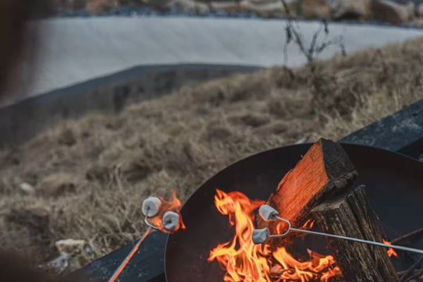 Fire Pit - House Amenities