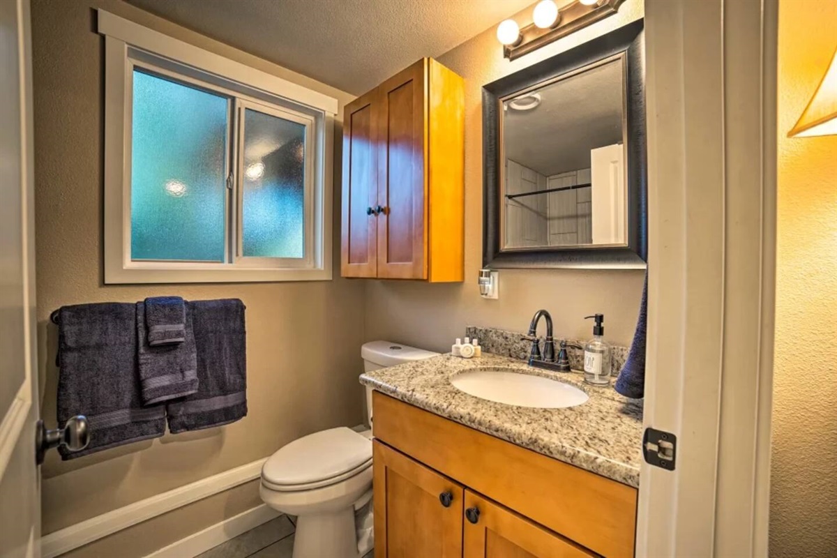 Third bathroom downstairs with walk-in shower