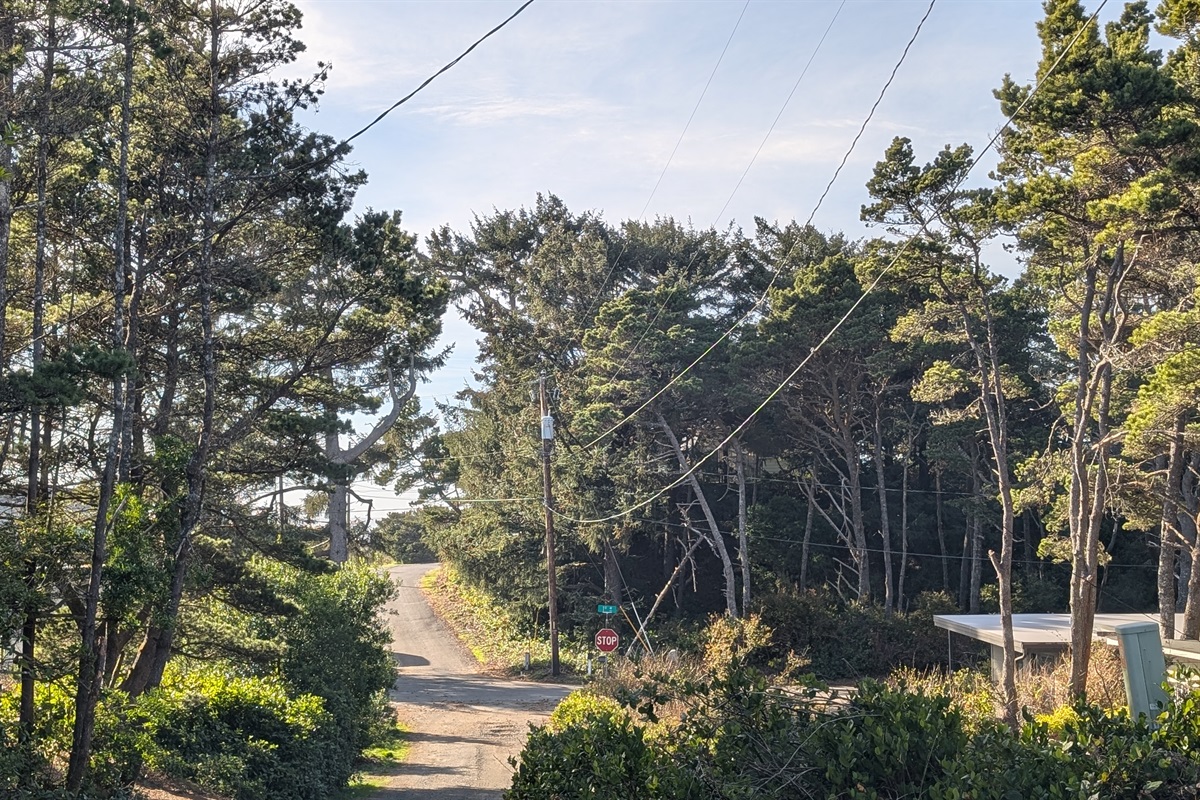 from the parking area