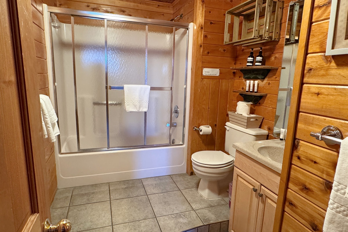Lower level full bathroom