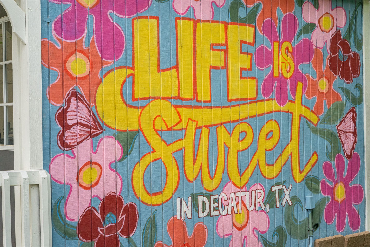 WE LOVE our local Muralist who brought life to our backyard