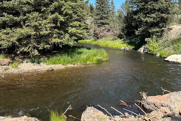 fly fishing and birding in Costilla