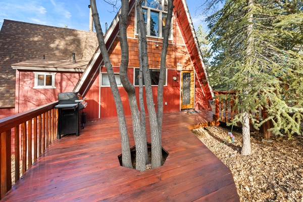 Front deck with oak tree cluster