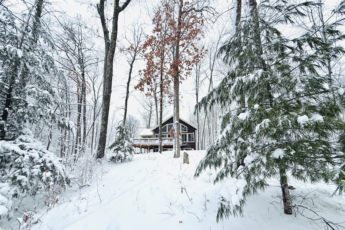 Welcome to Cattail Cottage!