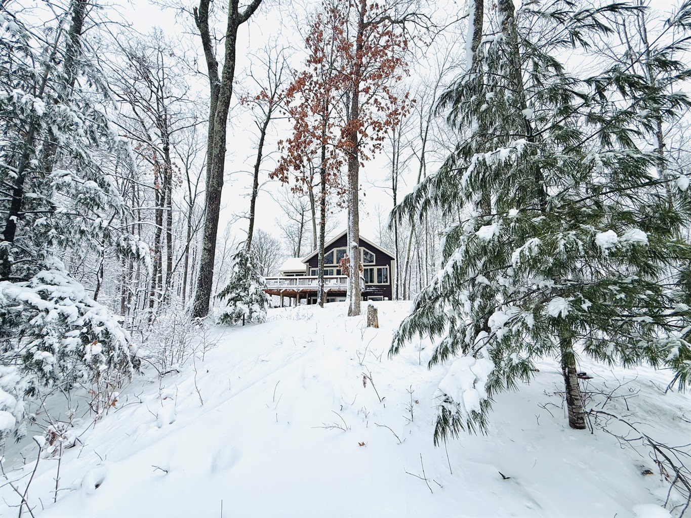 Welcome to Cattail Cottage!