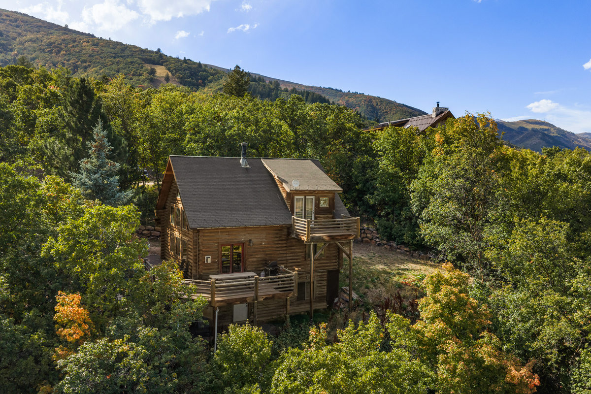 Arial view capturing the cabin’s peaceful hillside location and surrounding forest.