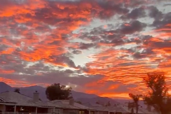 Backyard Sunset
