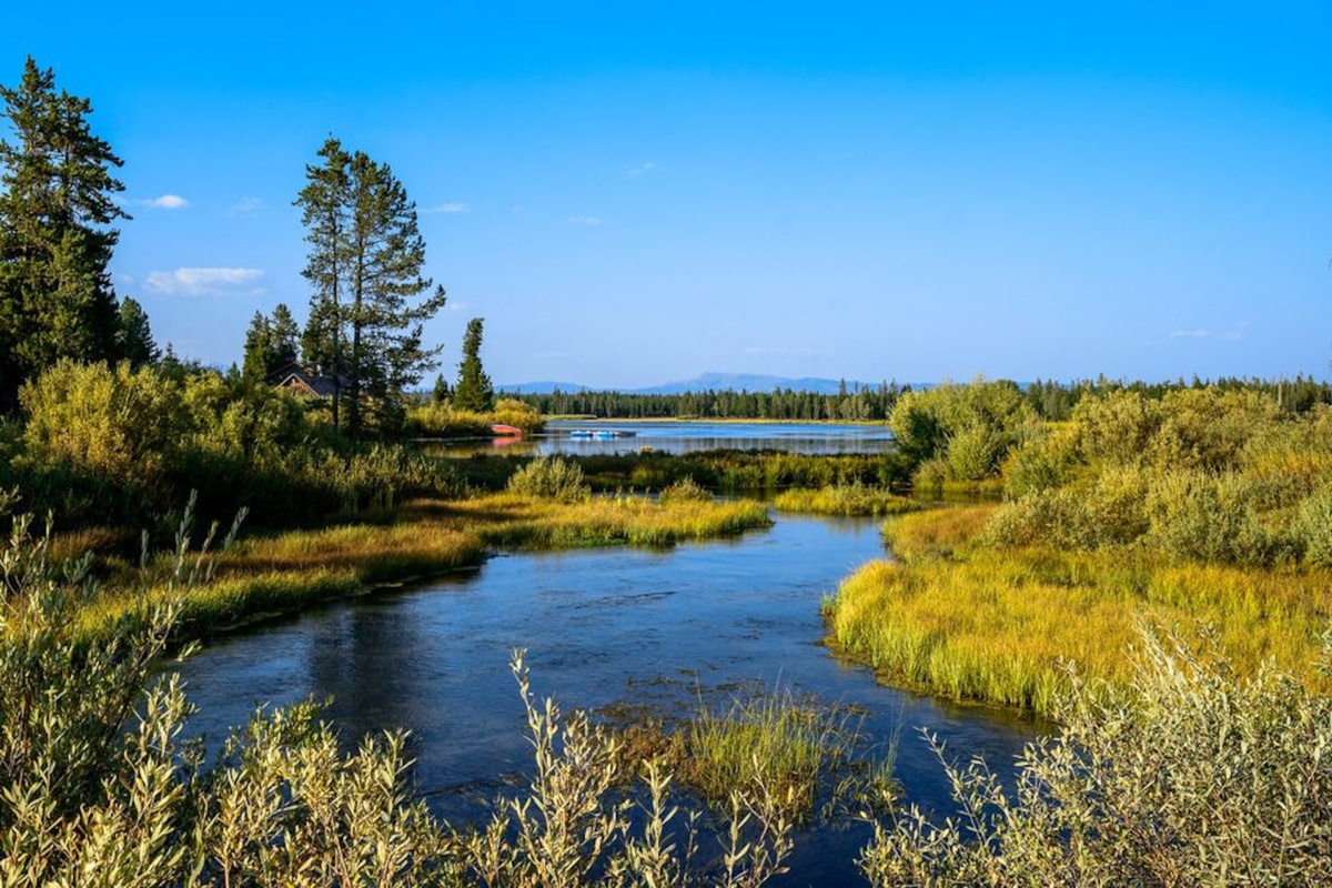 Island Park is surrounded by numerous places to fish, hike, boat, ski, and explore.