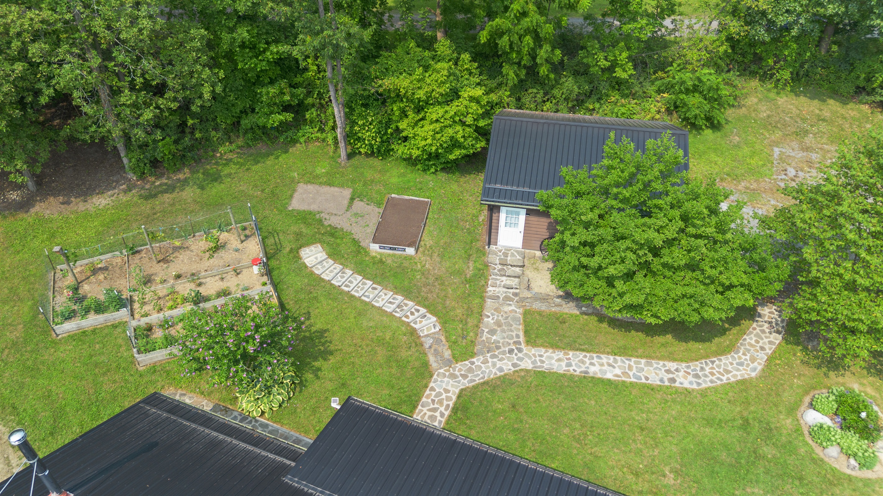Front Yard