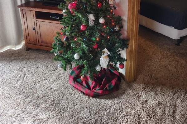 Twinkling nights, joyful hearts.