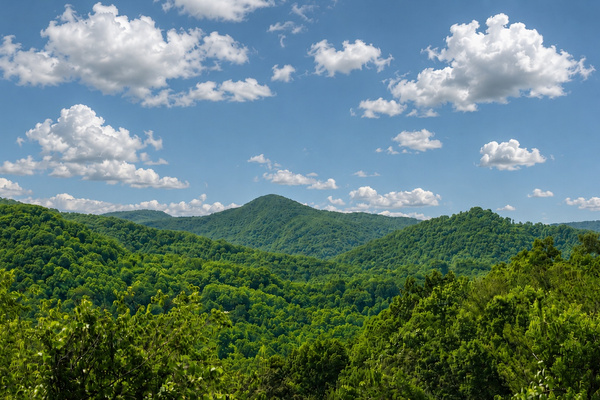Mtn View from Deck & Yard - yet close to Main St. 