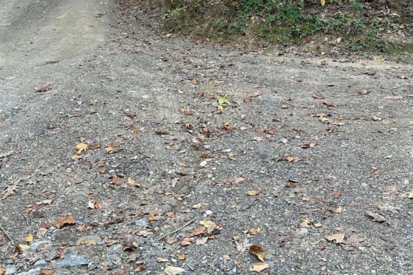 follow these signs to the cabin because GPS is not very reliable on mountain 