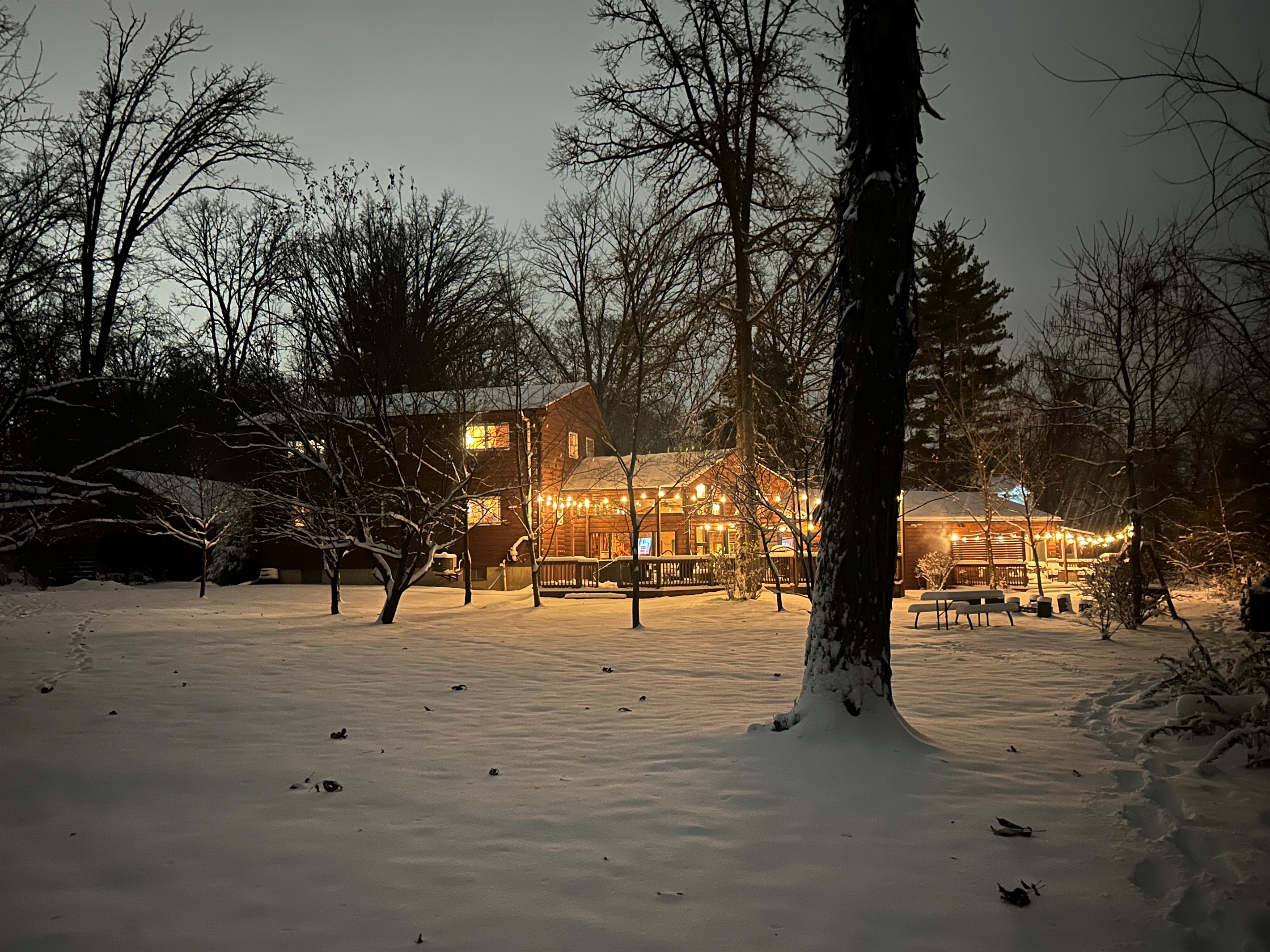 Fresh snow and warm lights make everything look cozy.