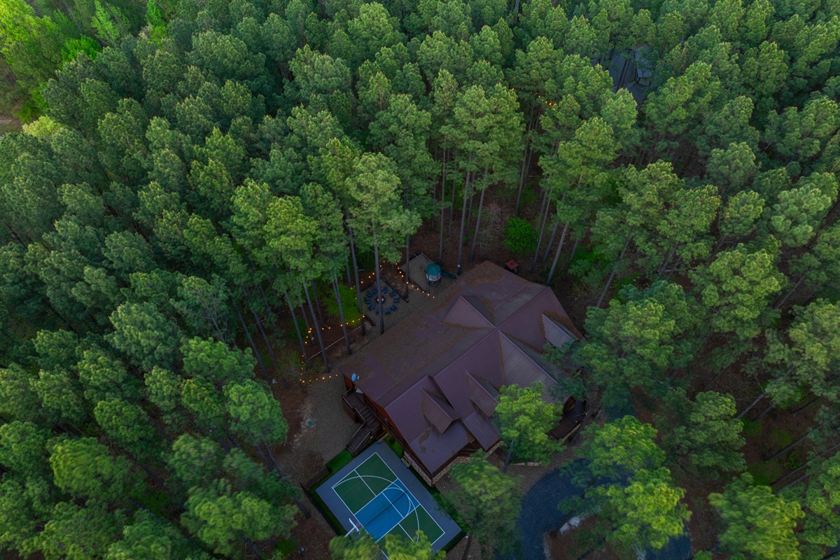Escape from the hype and emerge in nature at Madison Arbor