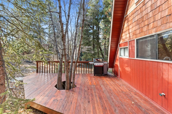 BBQ grill connected to natural gas, no hassling with propane