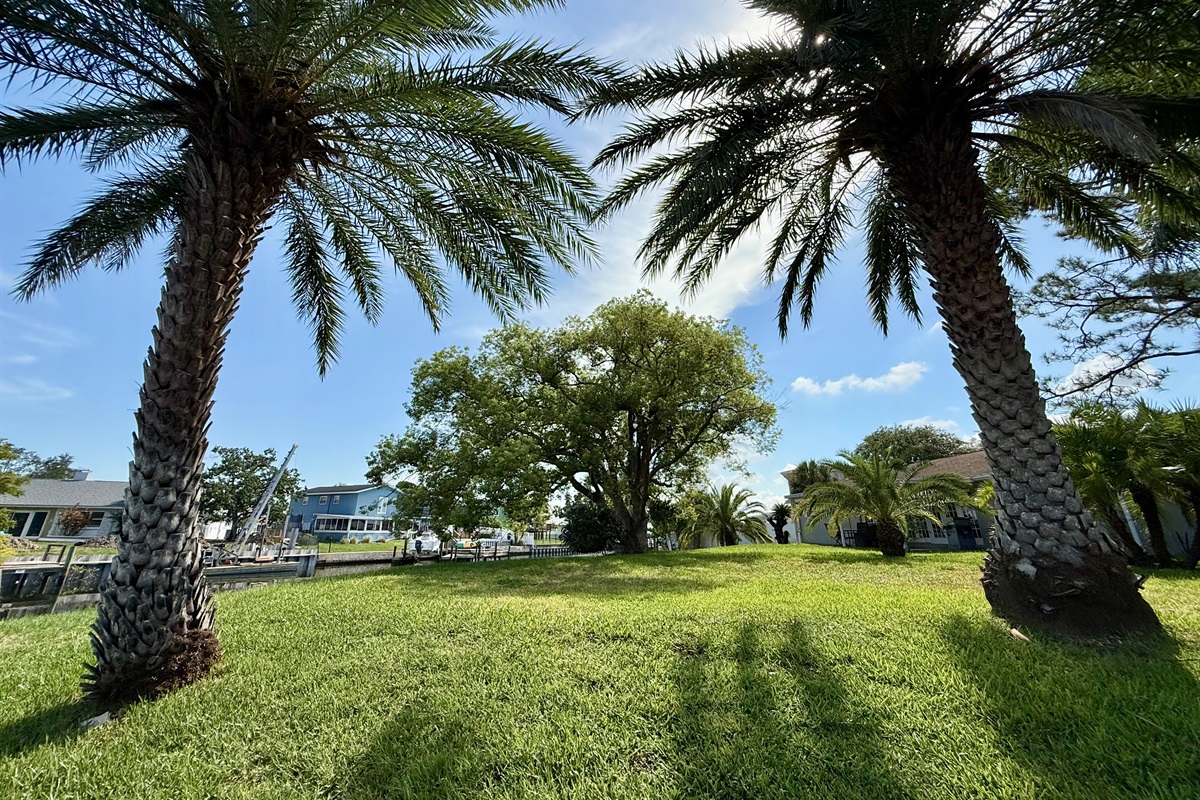 Enjoy the best of both worlds with this spacious, tree-lined backyard that opens right up to a peaceful saltwater canal.