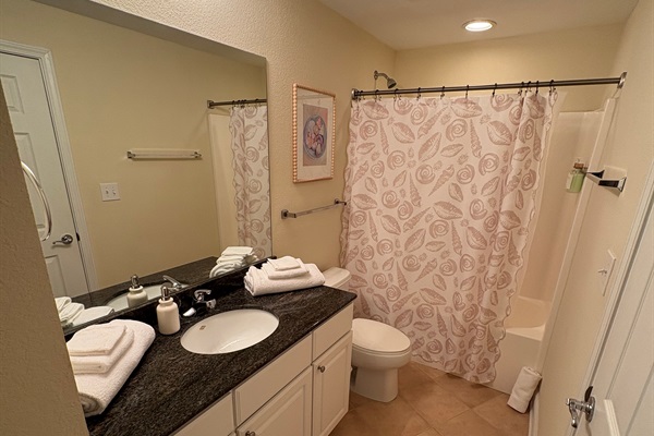 Guest Bathroom