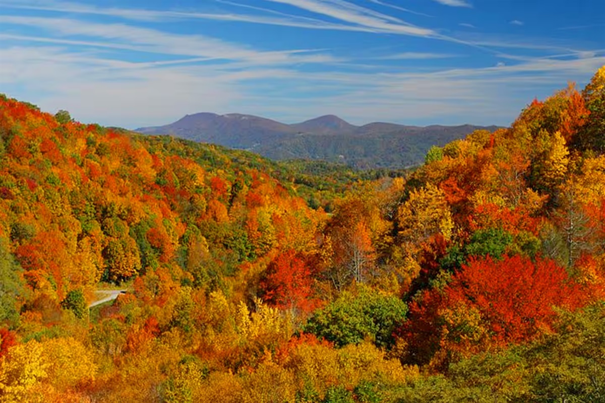 There is nothing like fall in the NC Blue Ridge Mountains. Come experience every color in vivid detail, right from our porches or from the many overlooks and trails nearby!