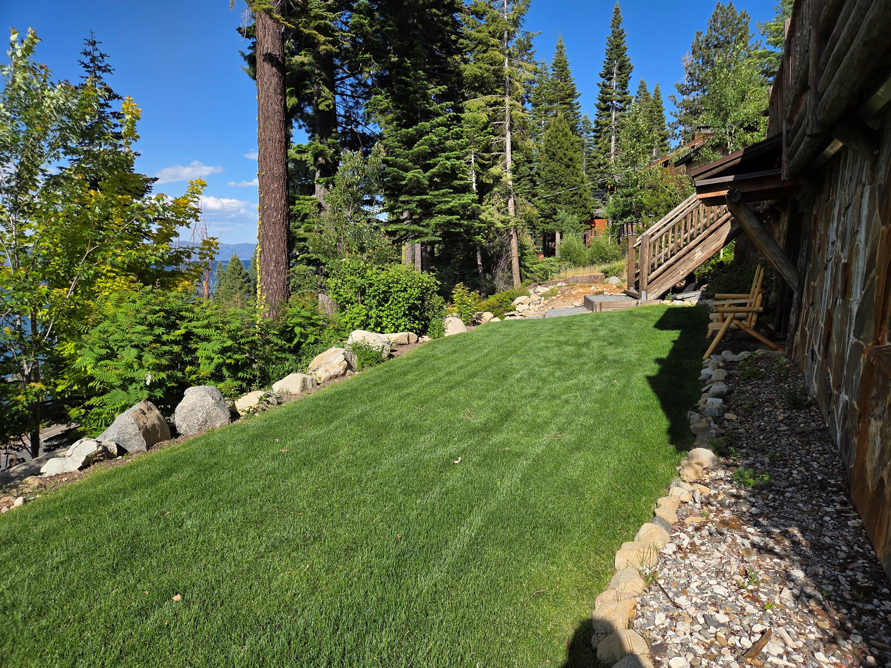 Our lawn in the summertime.