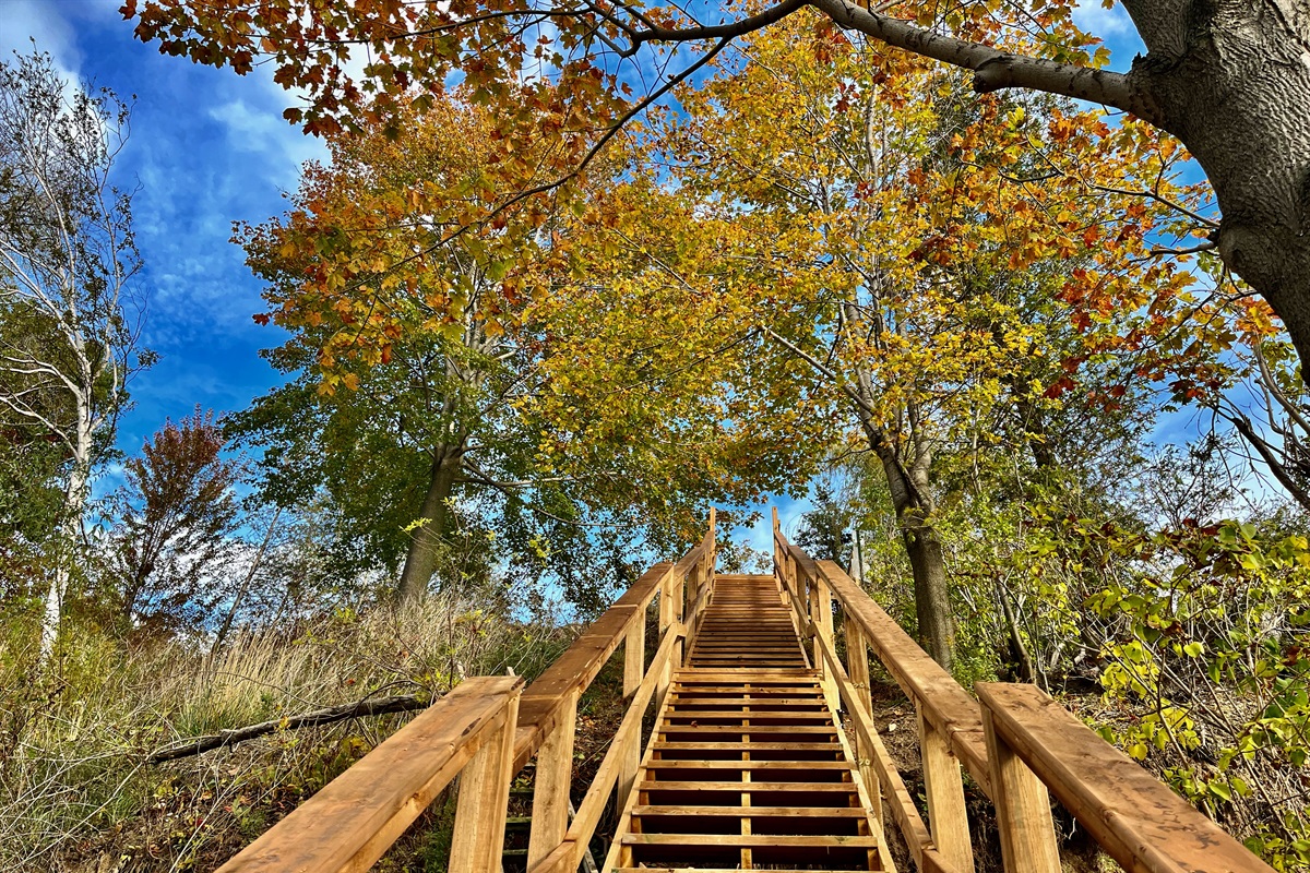 7b7a01a321aa497280009cf79cf2f0f0 Large