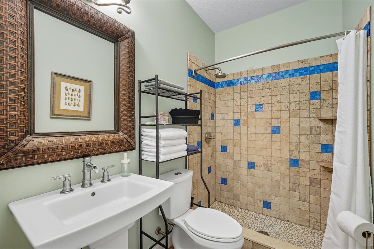 downstairs guest bathroom with shower