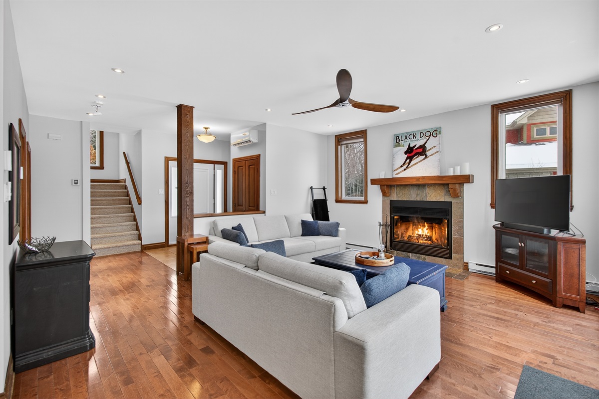 Living room with 2 large inviting sofas