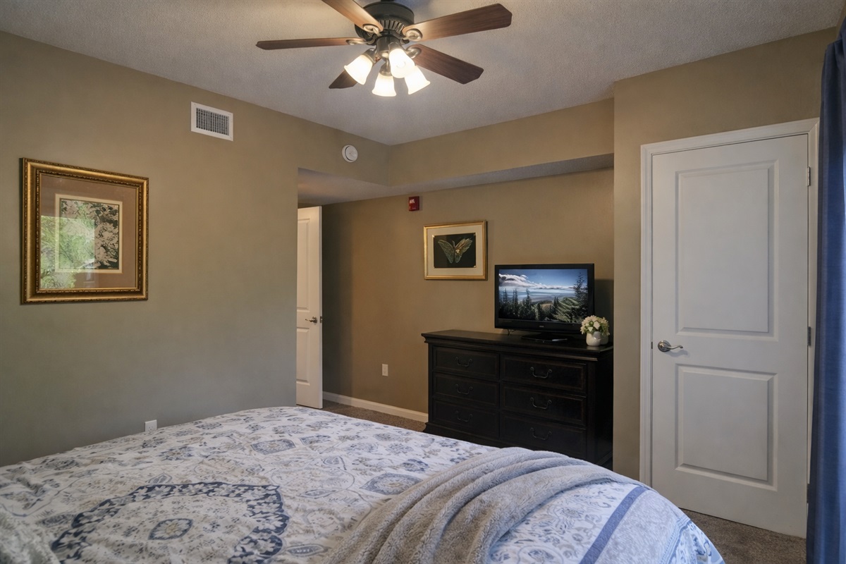 Private King suite with cable tv