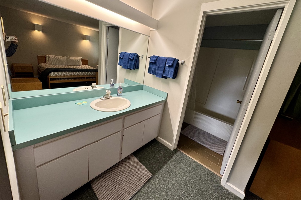 Primary ensuite bathroom