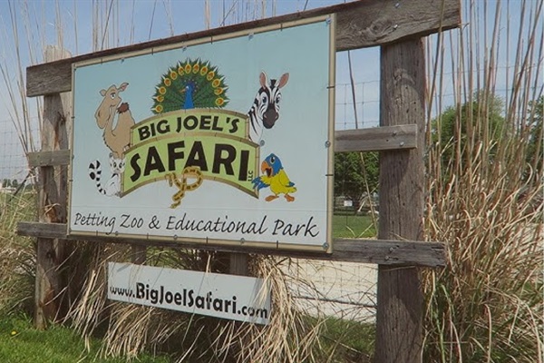 Have fun at Big Joel's Safari, not far from Innsbrook