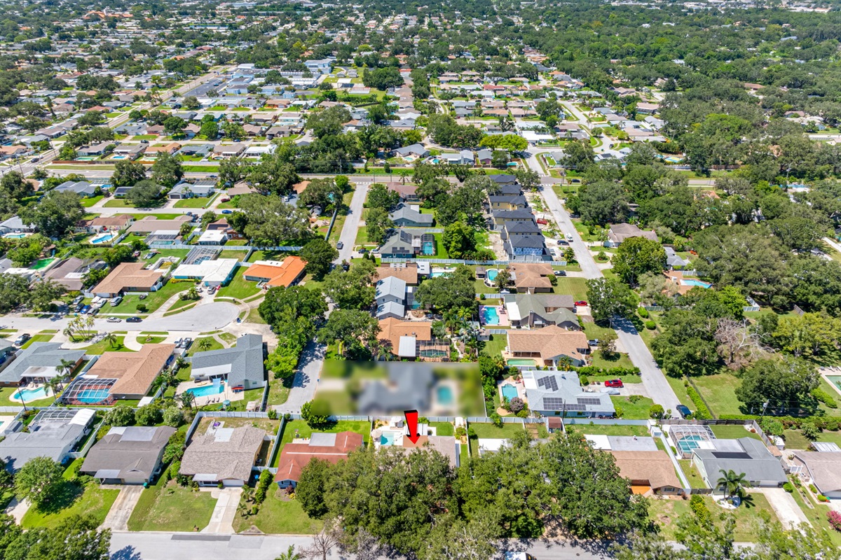 Aerial View of the Neighborhood