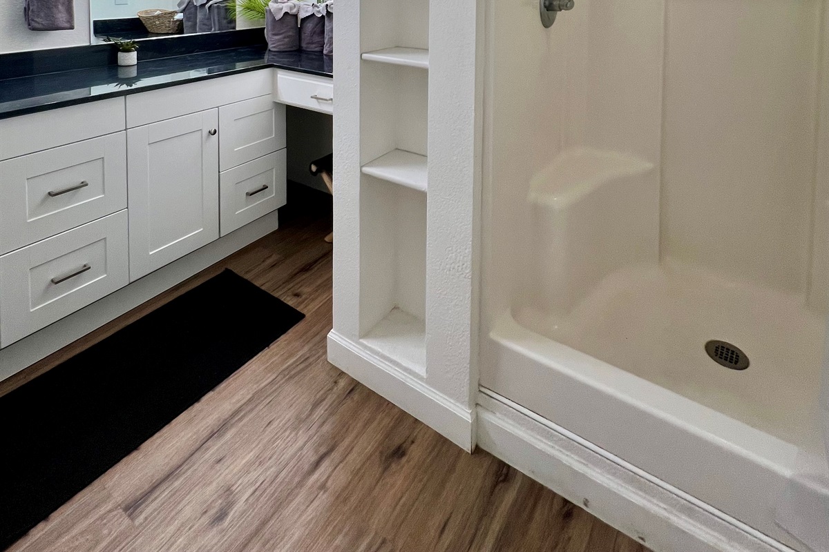 Lower level bathroom 