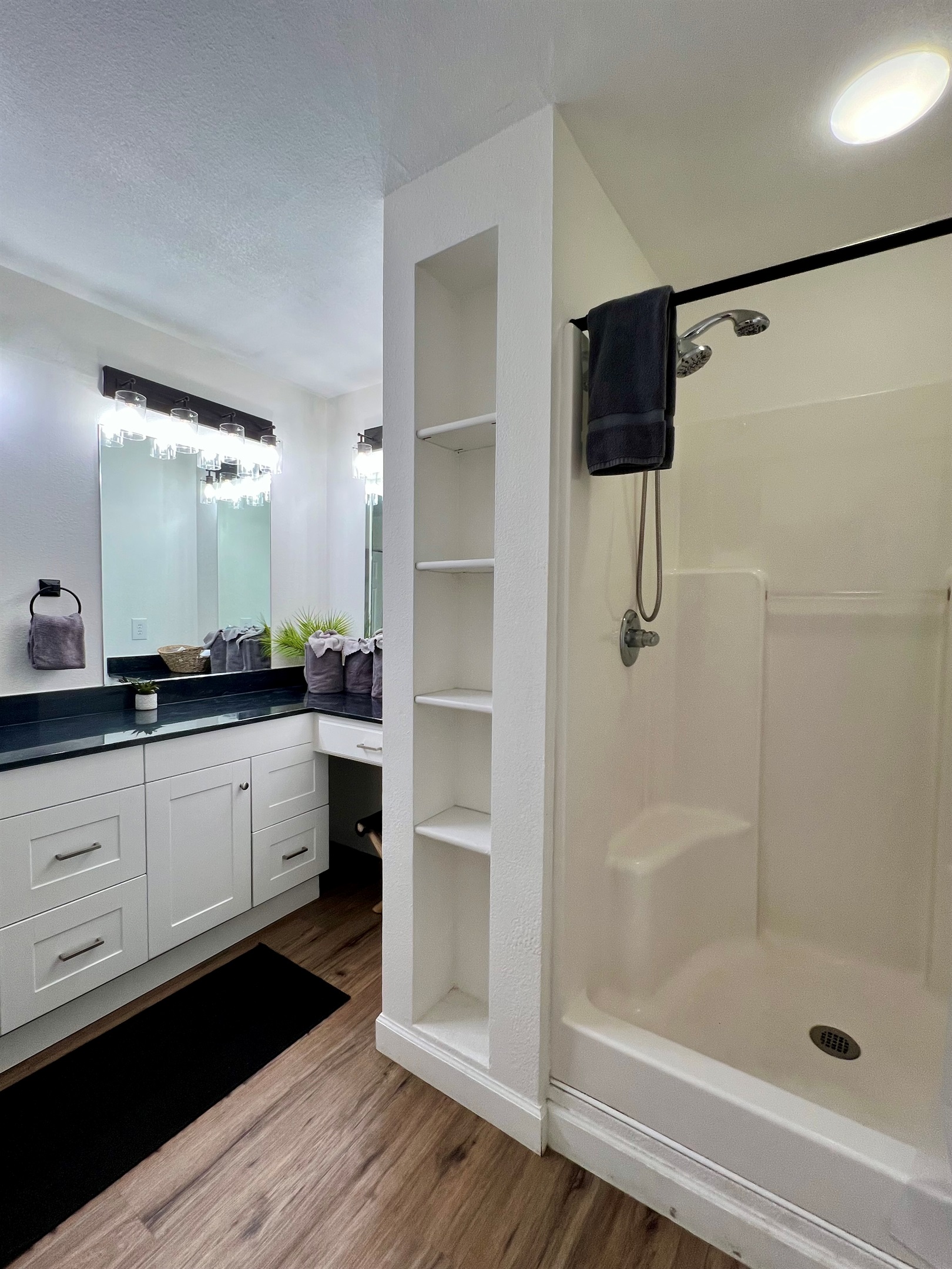 Lower level bathroom 
