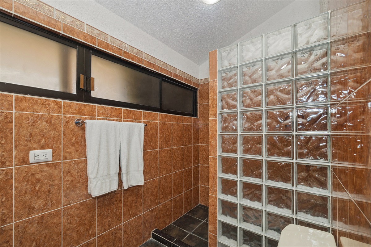 Bedroom 1 Private Bathroom with Walk-in Shower