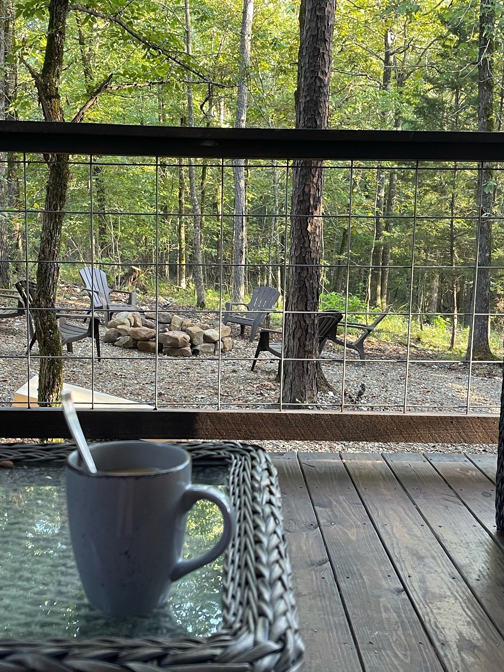 Morning view waiting for the deer to come strolling through.
