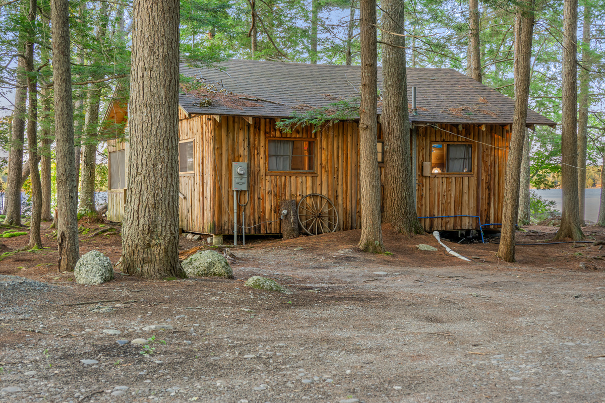 Your first view arriving at Loonrise Point in Otis, ME! A real, unpolished 1960s Maine camp with exposed utilities, natural pine soil, roots, and cedar siding. Authentic rustic lake living on Beech Hill Pond, located just 40 minutes from Acadia!
