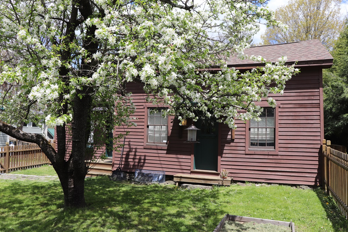 Springtime bloom at Craftsman House