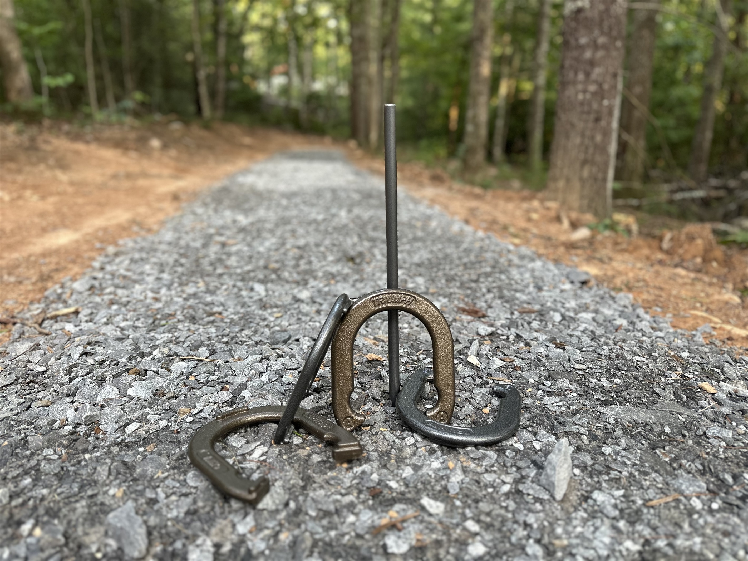80' Horseshoe pit