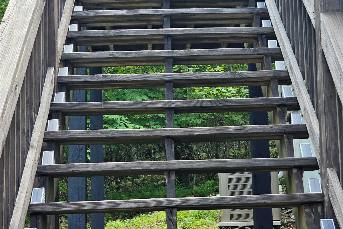 Accessibility Feature  - Lit path to the guest entrance (supporting photo)