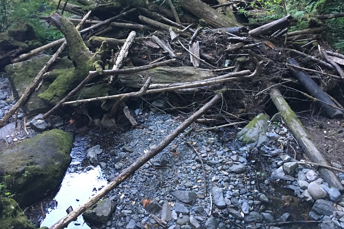 Another one of the creeks