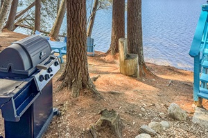 Perfect sized grilled in front of the lake -  Dont forget to scrub after yourself