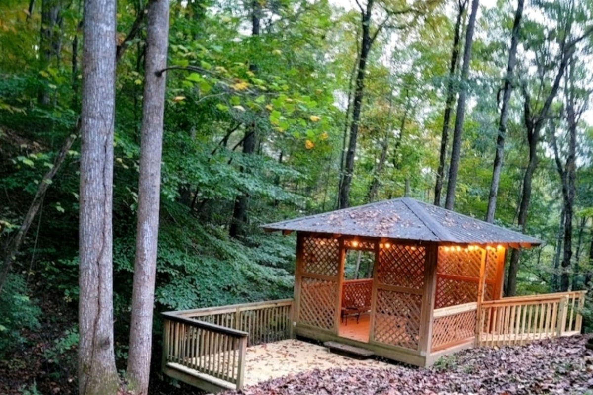 Private pavilion in back yard with seating and lights.