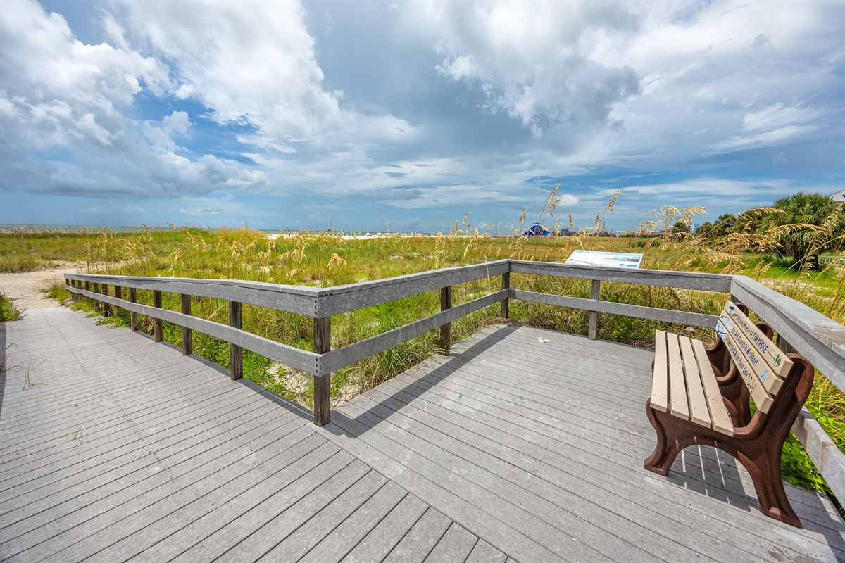 Beach bench along the path